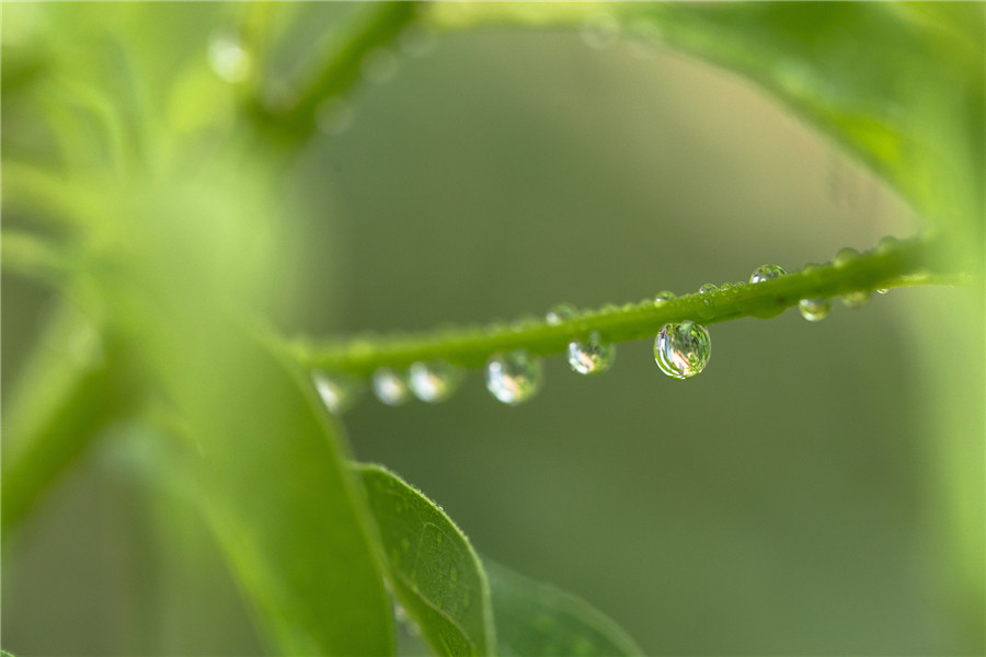 攝圖網(wǎng)_500573853_banner_雨季（非企業(yè)商用）.jpg